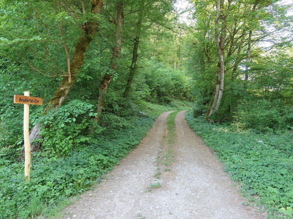 Weg ins Brudertal