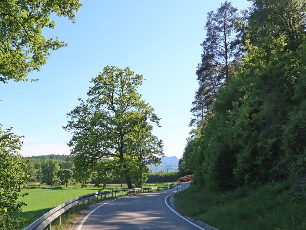 Strasse K6178 und Hohenstoffeln
