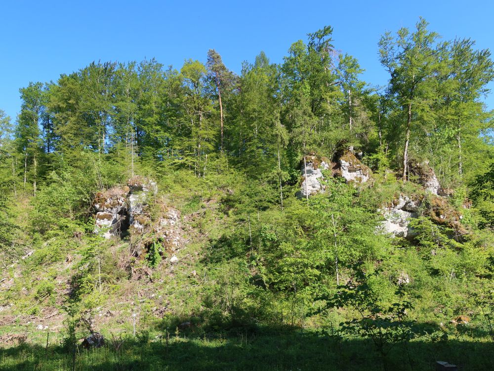 Felsen im Wasserburgertal