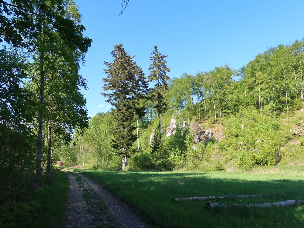 Felsen im Wasserburgertal