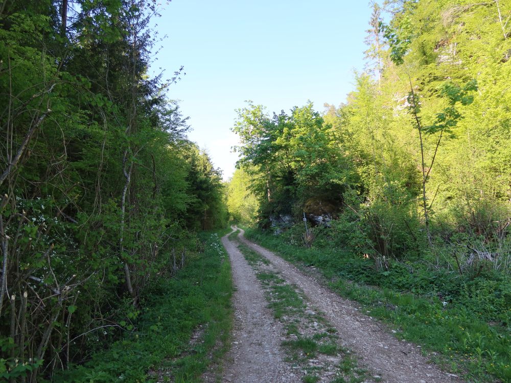Weg im Wasserburgertal