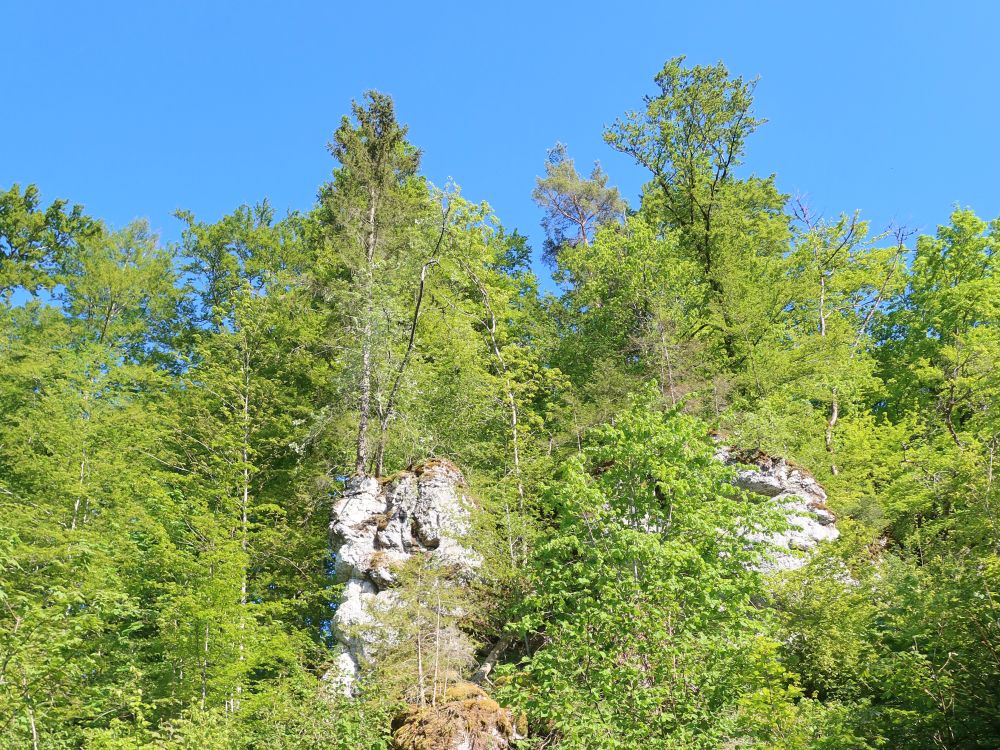 Felsen im Wasserburgertal