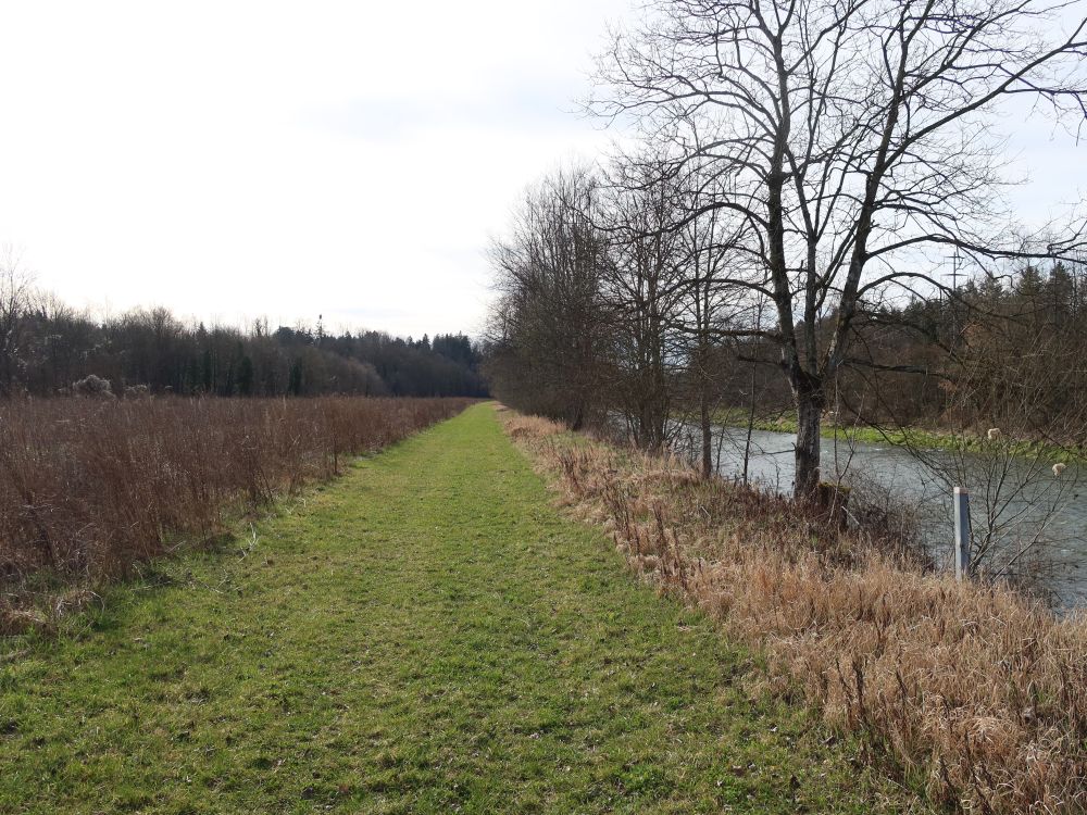 Wiesenpfad am Thurufer