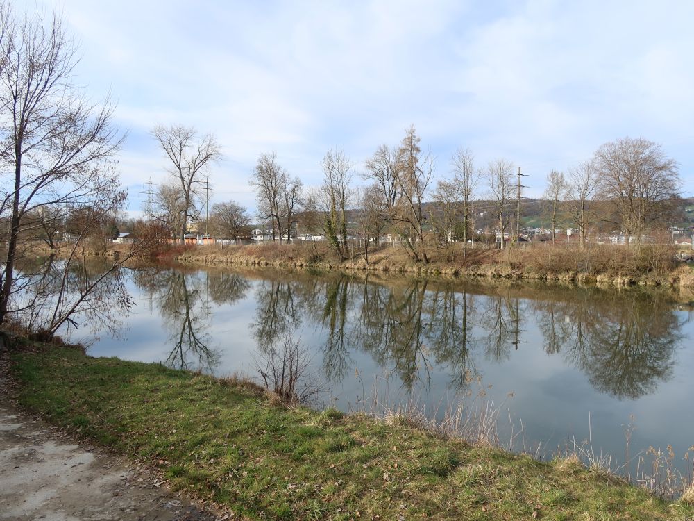 Spiegelungen in der Thur