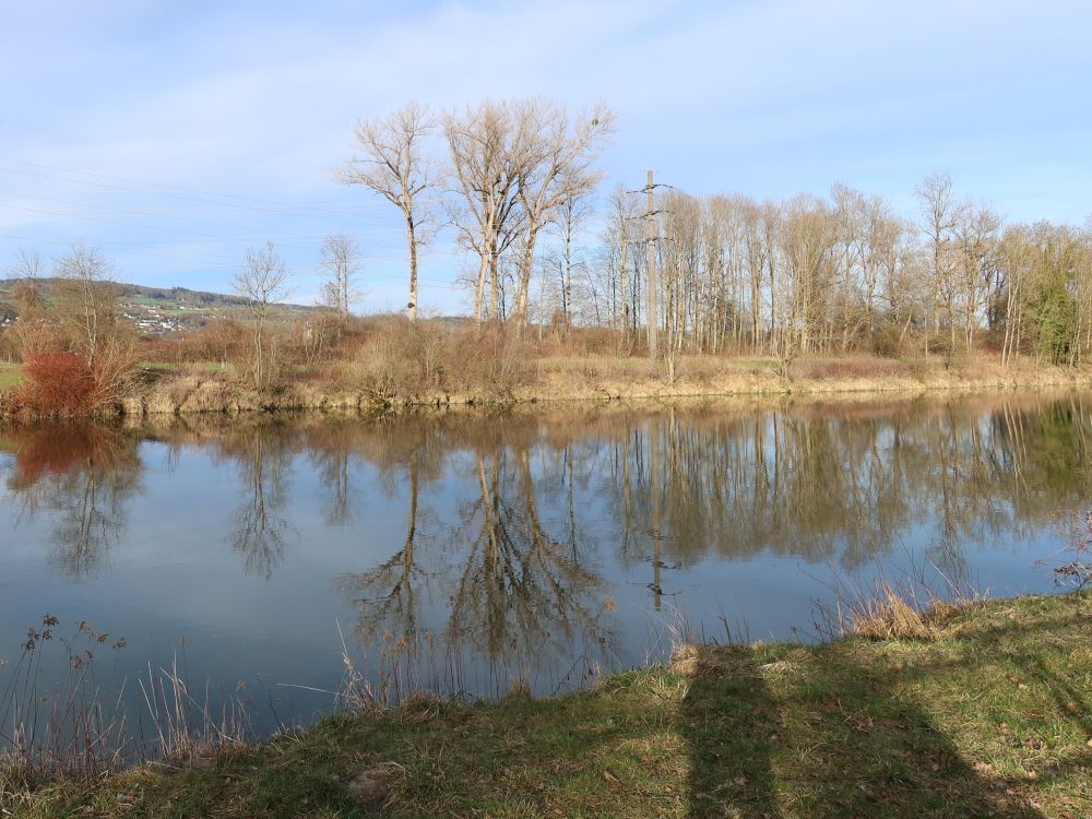 Spiegelungen in der Thur