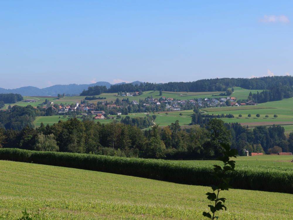 Blick Richtung Wildberg