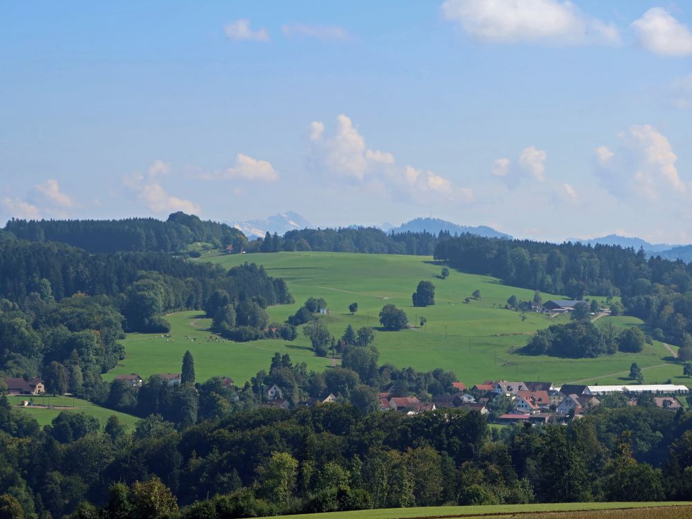 Säntis und Bachtel am Horizont