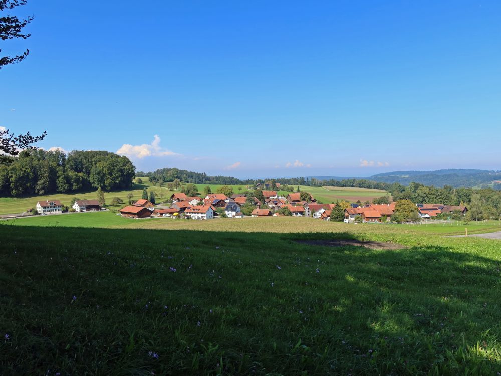 Blick Richtung Neschwil