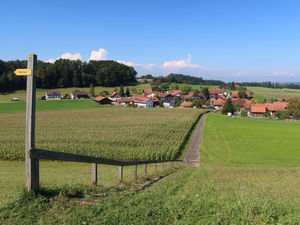 Anwändelweg bei Neschwil