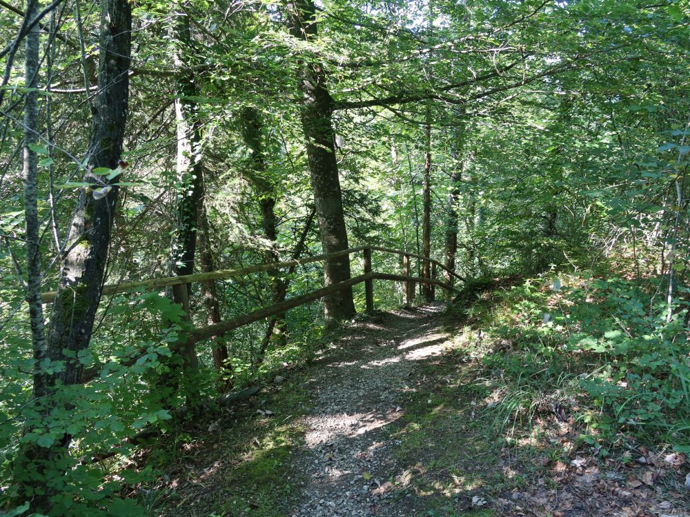 Waldweg