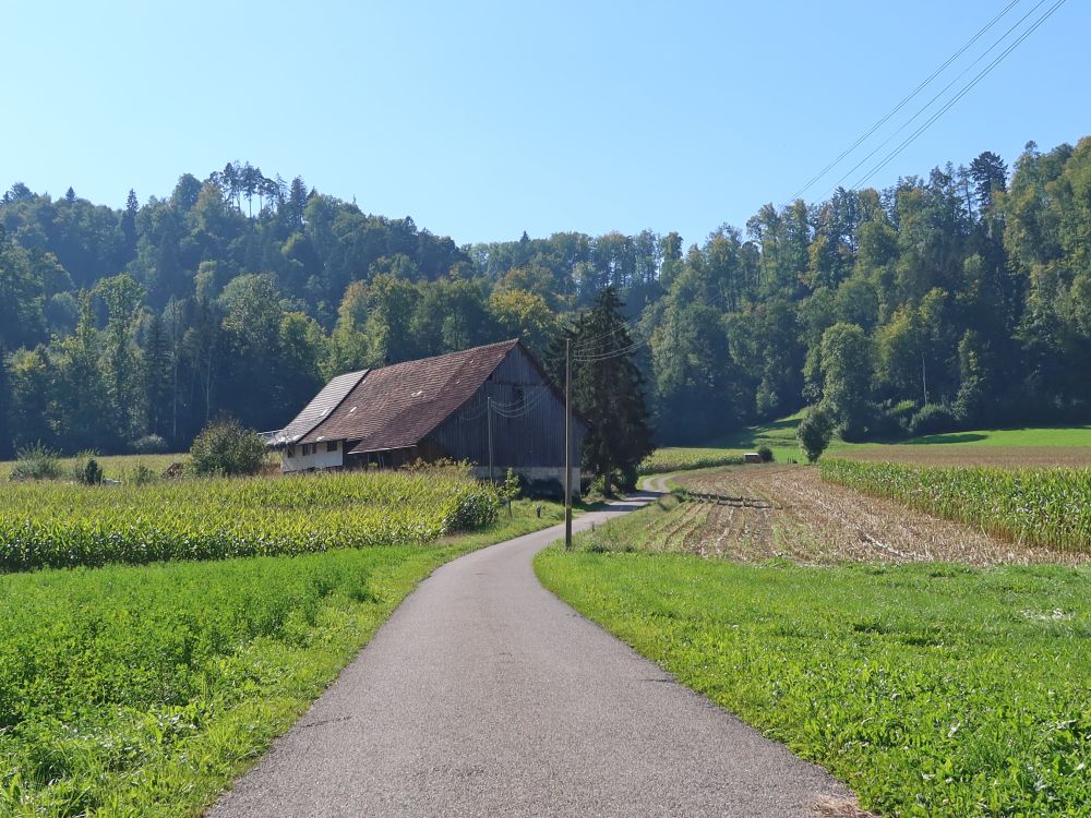 Bauernhof Lochfeld