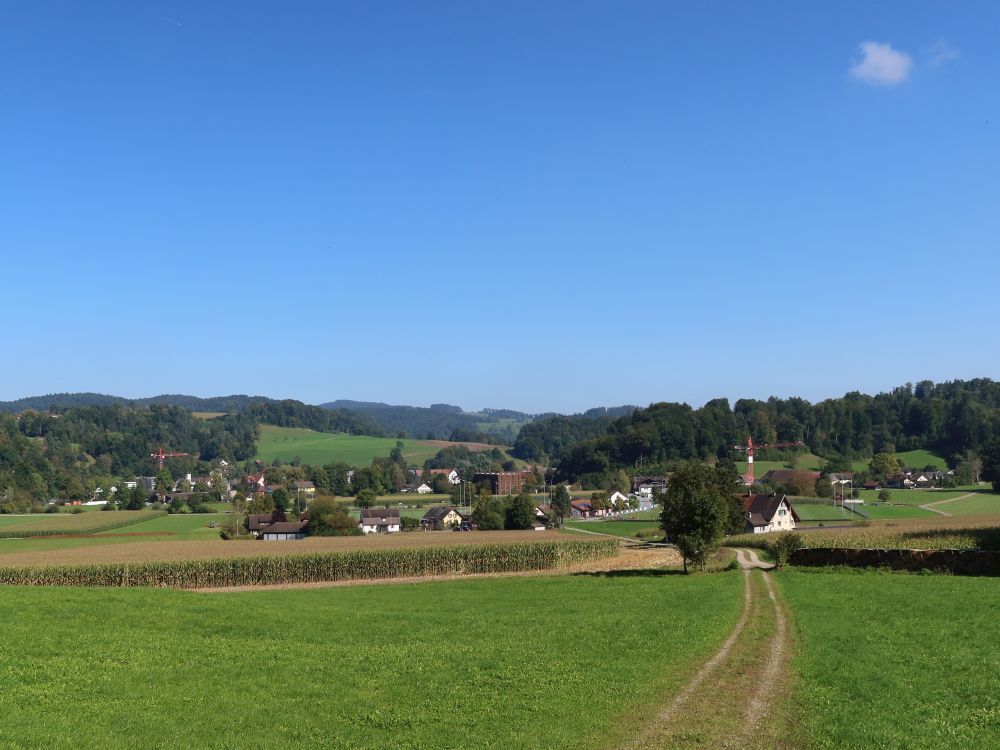 Blick Richtung Hinterrikon