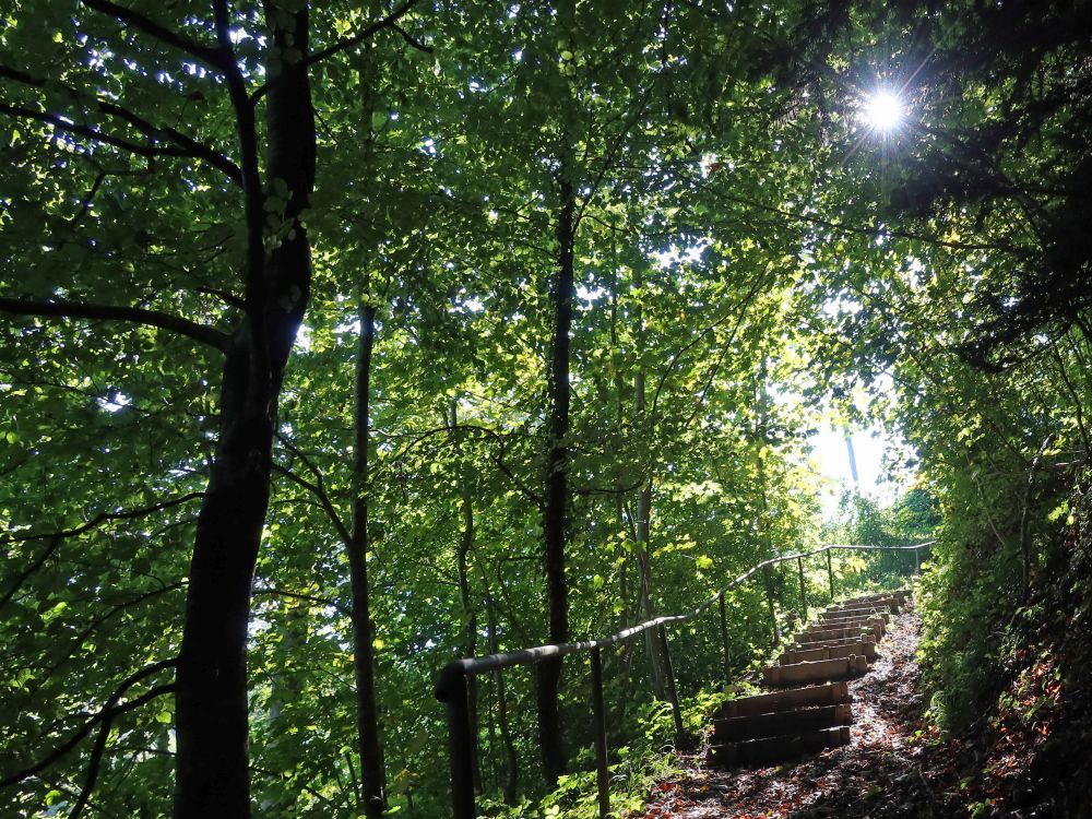 Treppe im Gegenlicht