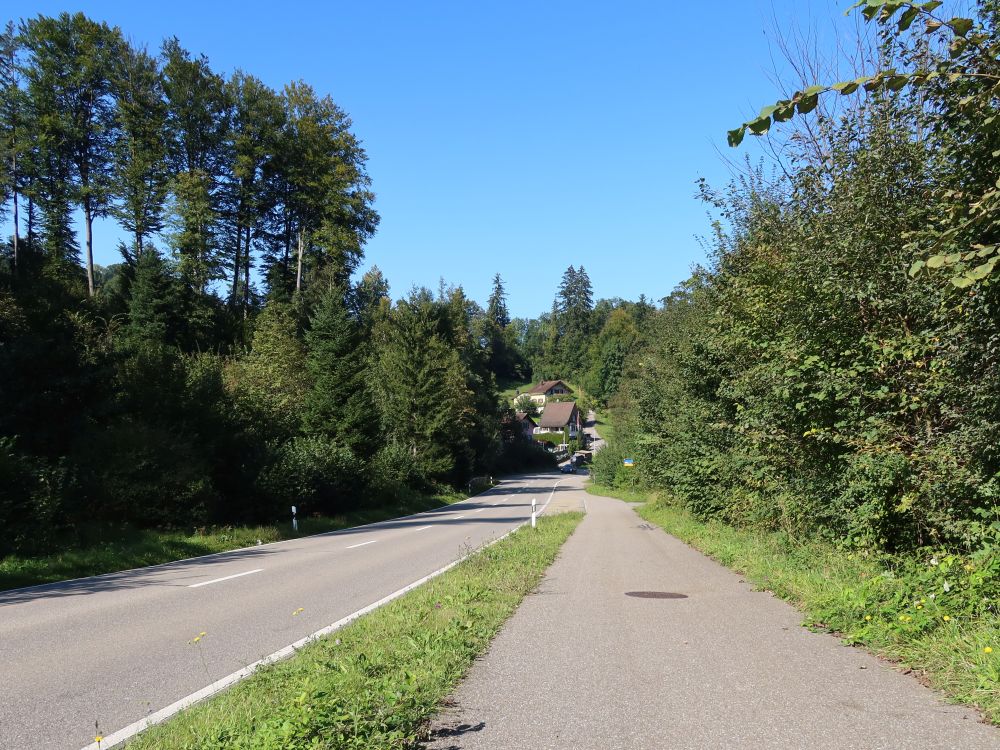 Fuss- und Radweg an der Weisslingerstrasse