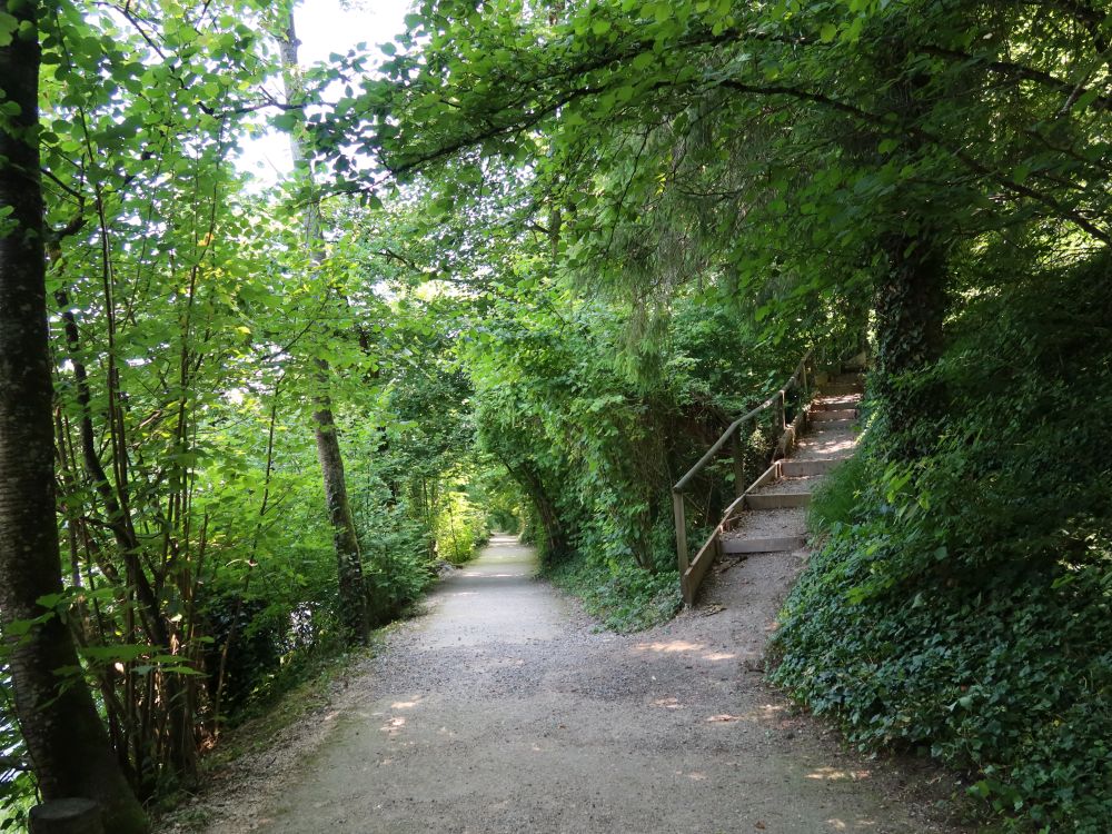 Pfad und Treppe
