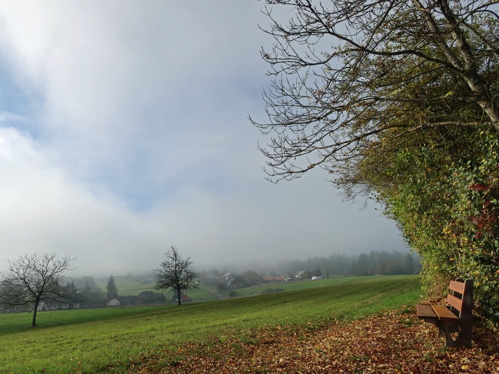 Nebel über Wieladingen