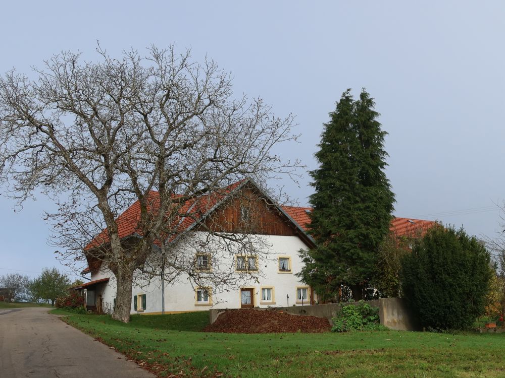 Haus in Wieladingen