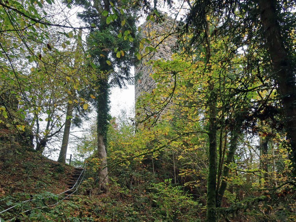 Turm der Burgruine