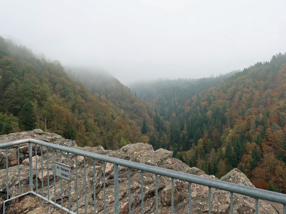 Blick vom Burgturm