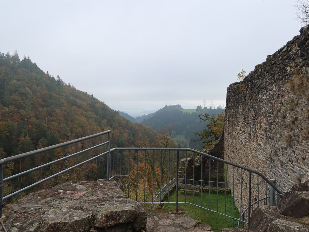 Burgruine Wieladingen