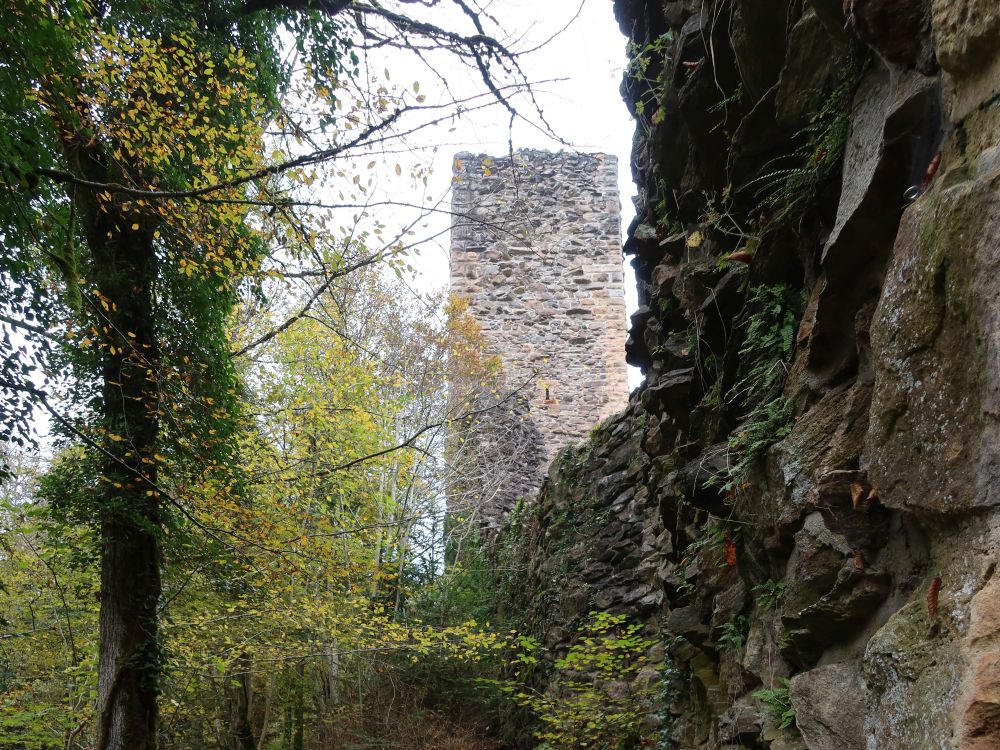 Turm der Burgruine