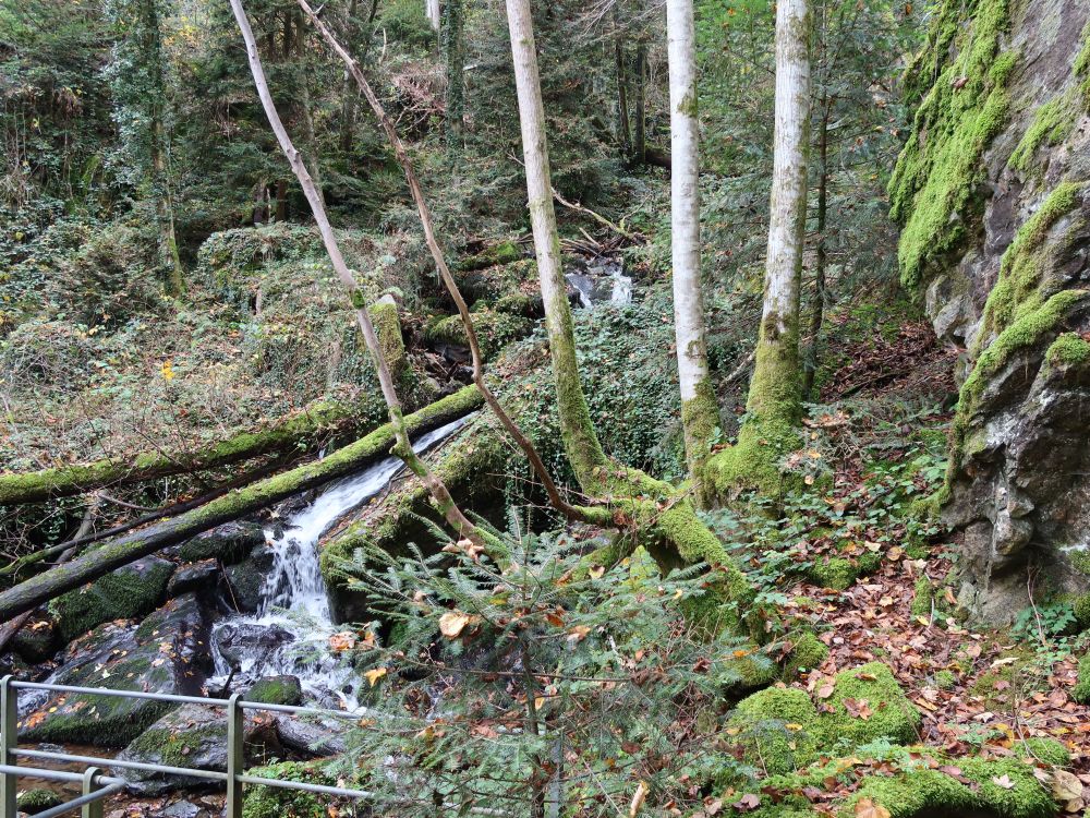 Wasserfall am Schlossbach