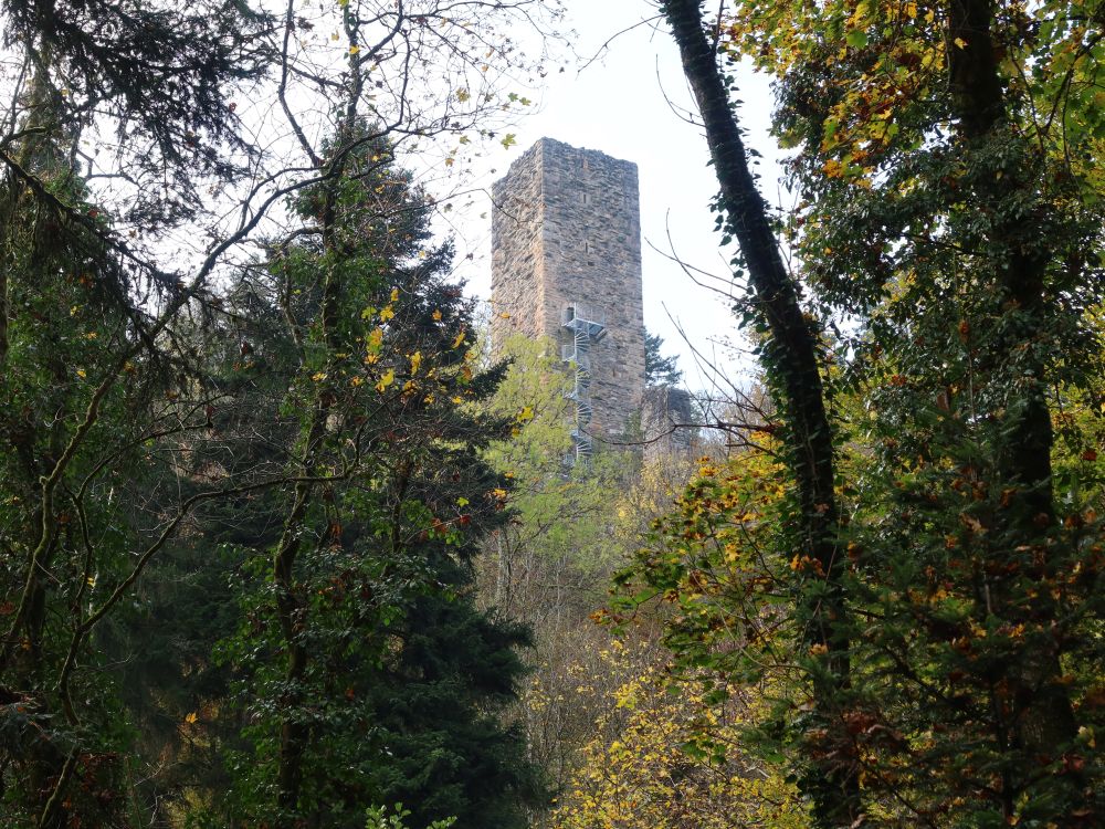 Turm der Burgruine