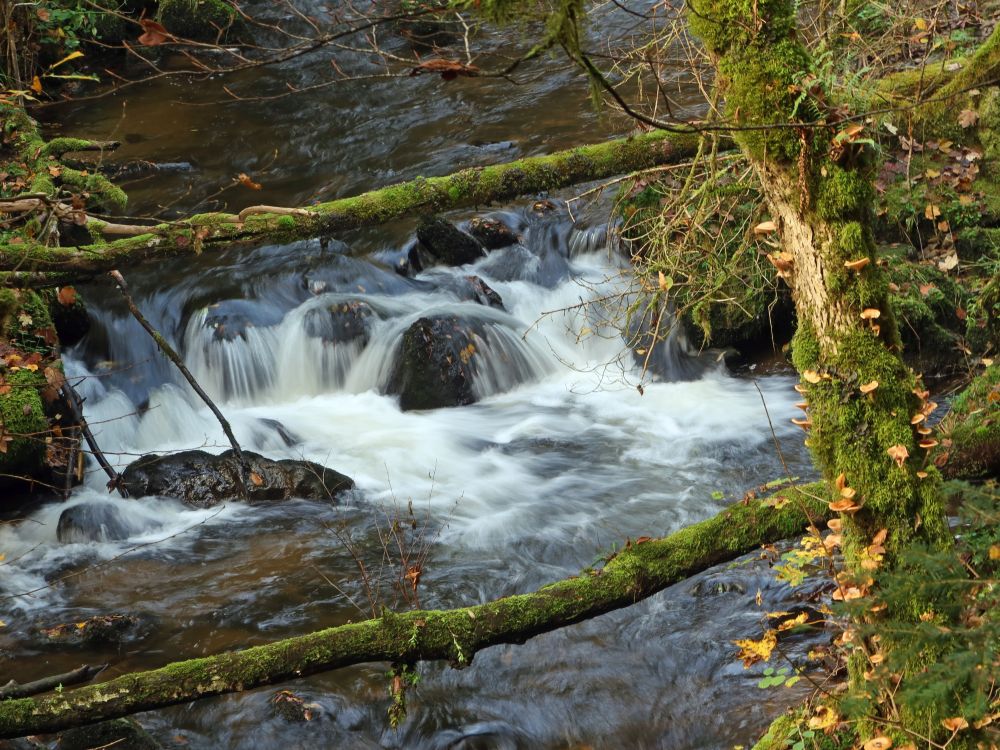 Wasserfall an der Murg