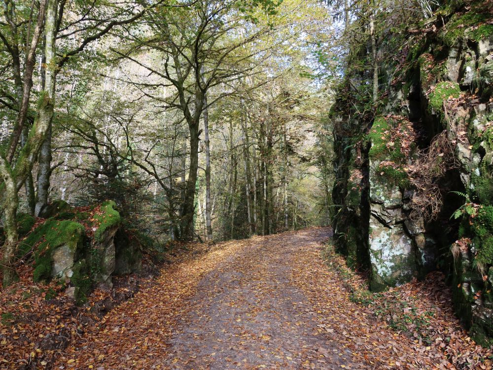 Murgtalpfad zwischen Felsen