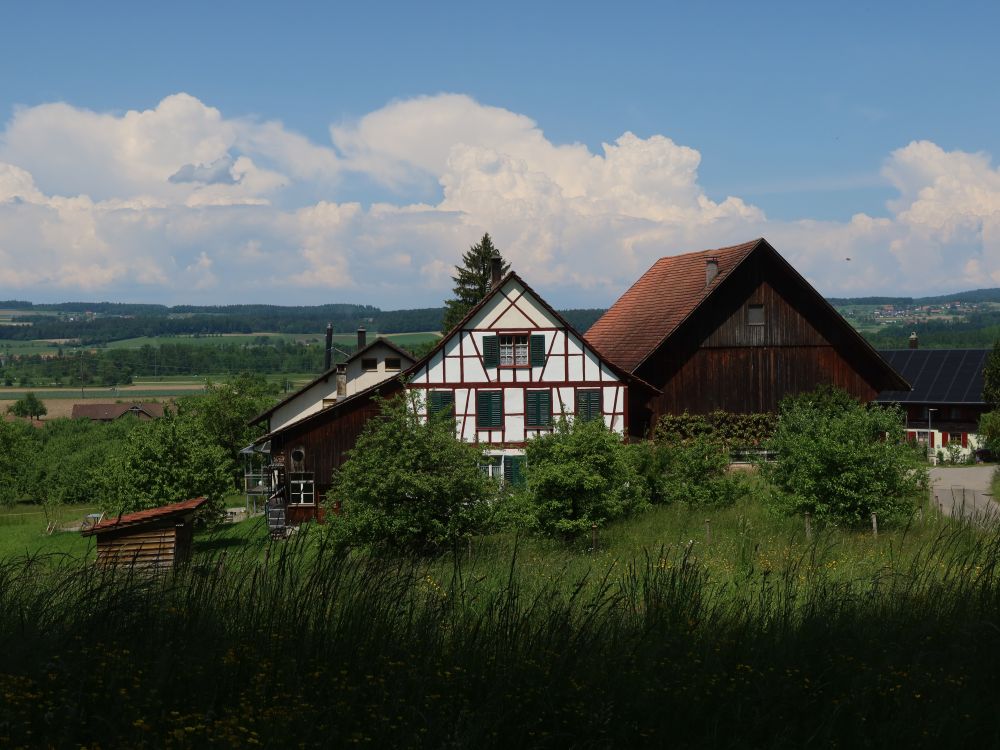 Häuser von Mettendorf