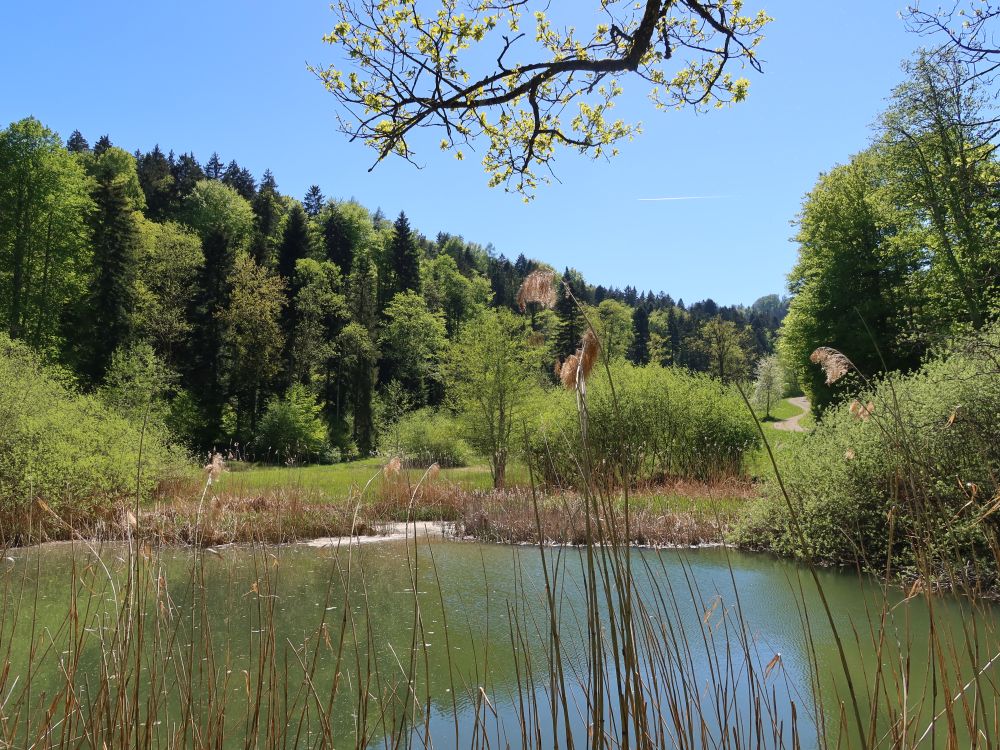 Mühleweiher