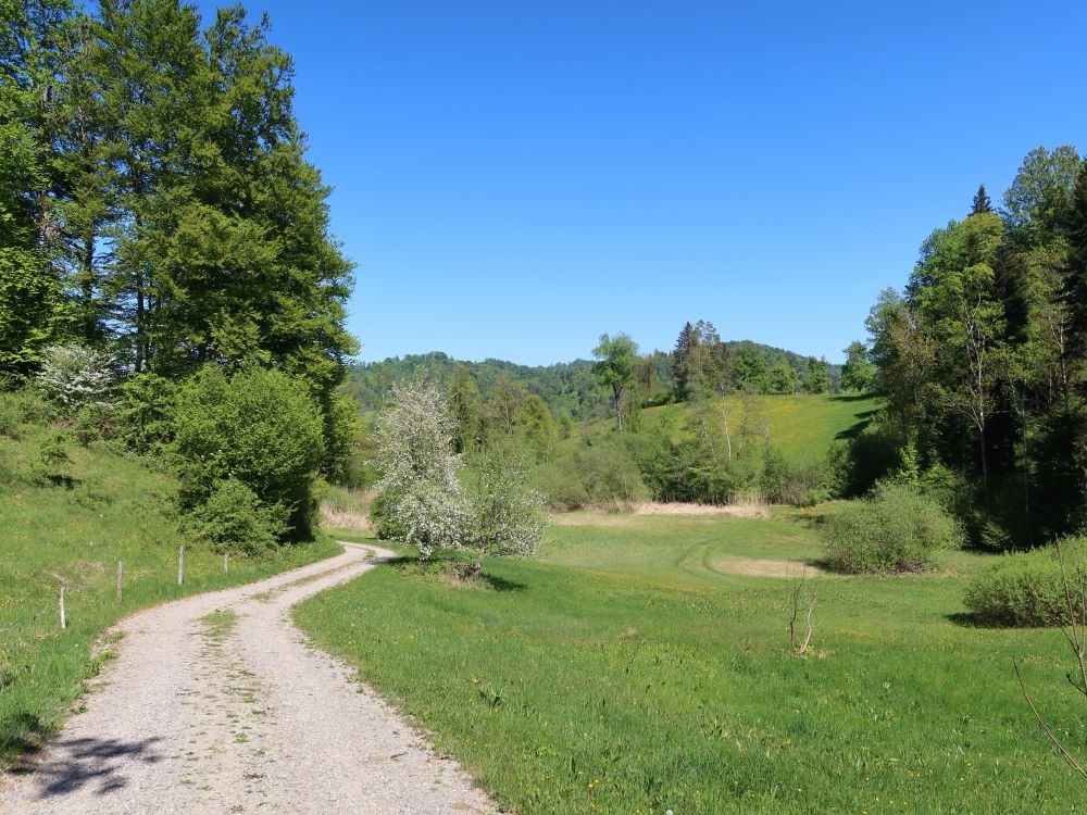 Heissental