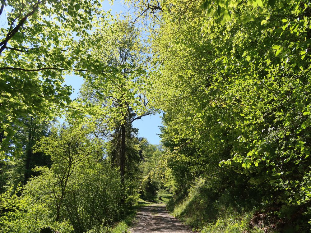 Heissentalweg