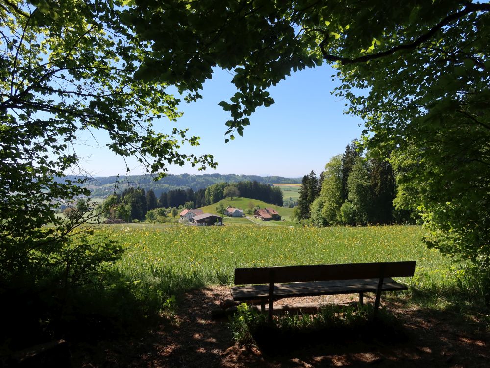 Sitzbank am Waldrand