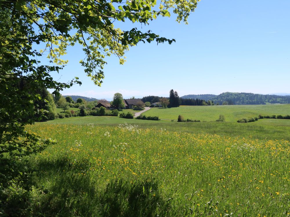 Obere Luegeten