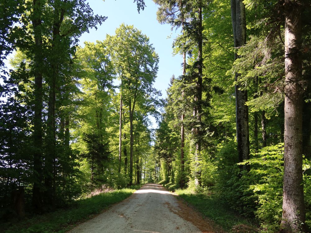 Panoramastrasse