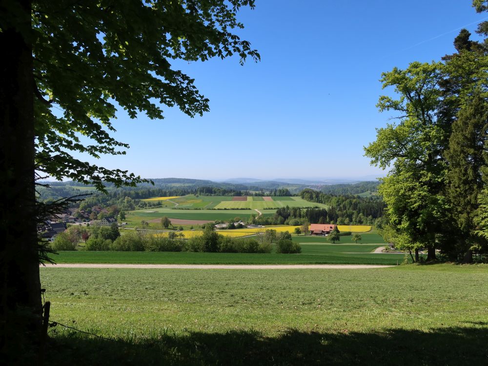Blick Richtung Wildberg