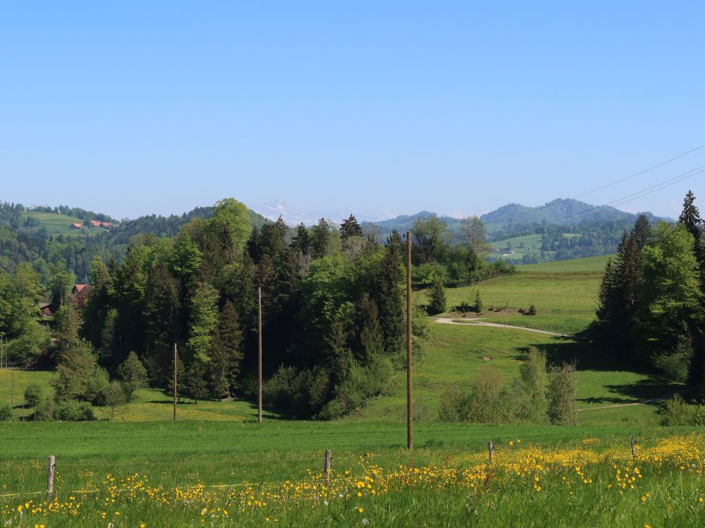 Säntis im Dunst und Hörnli
