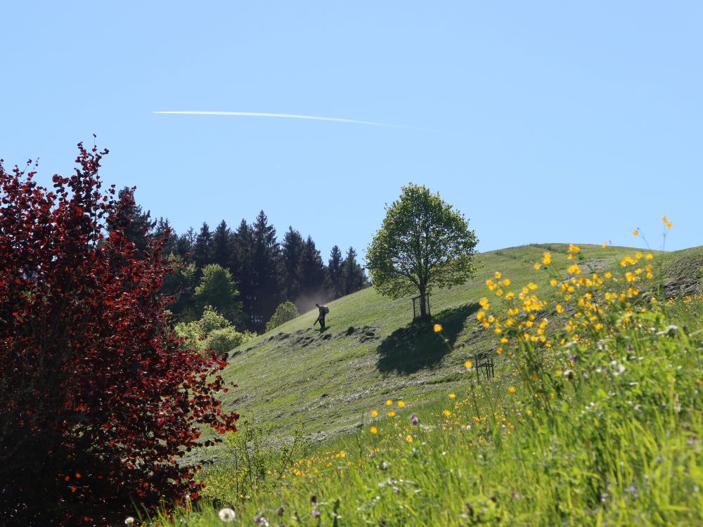 Lärnquelle Laubbläser