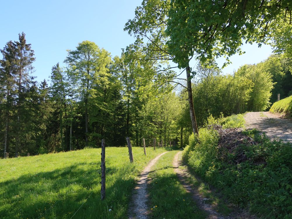 Weg bei Lindenwis