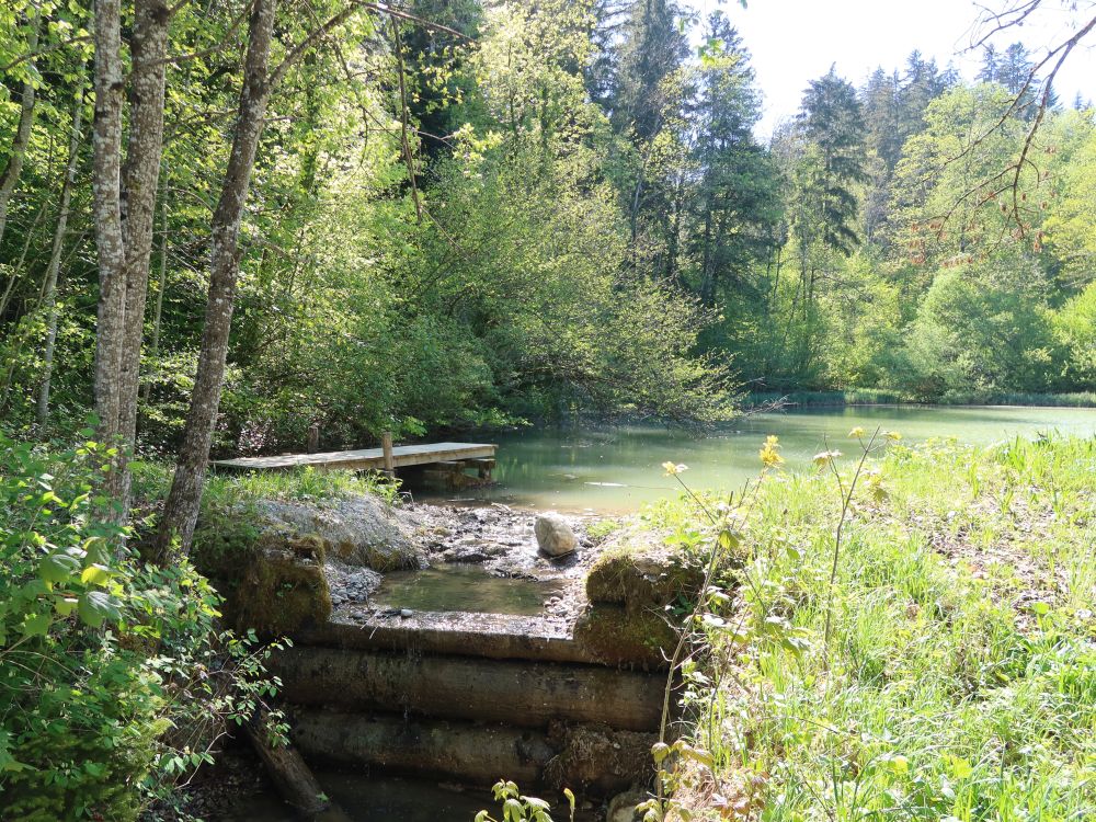 Steg am Rosenbergweiher
