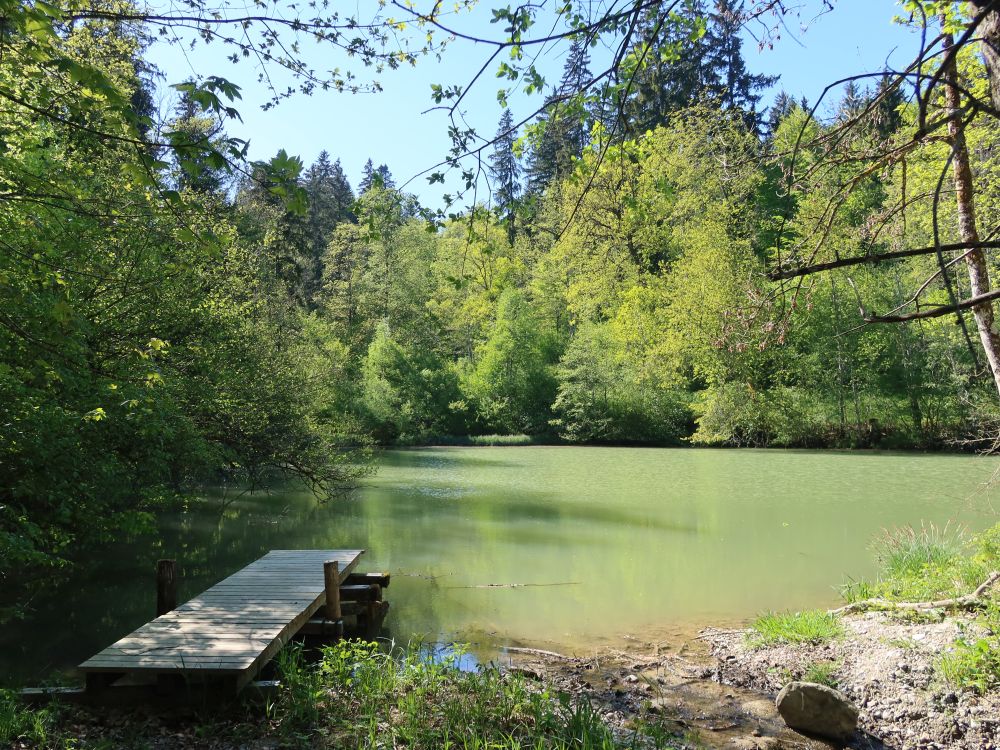 Steg am Rosenbergweiher