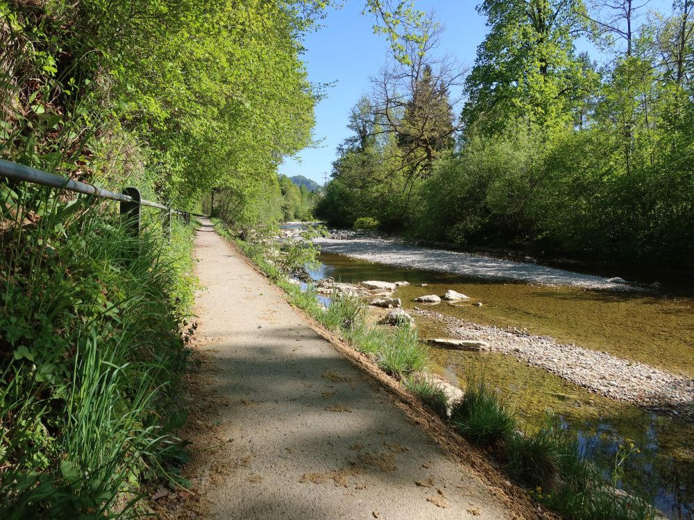 Uferweg an der Töss
