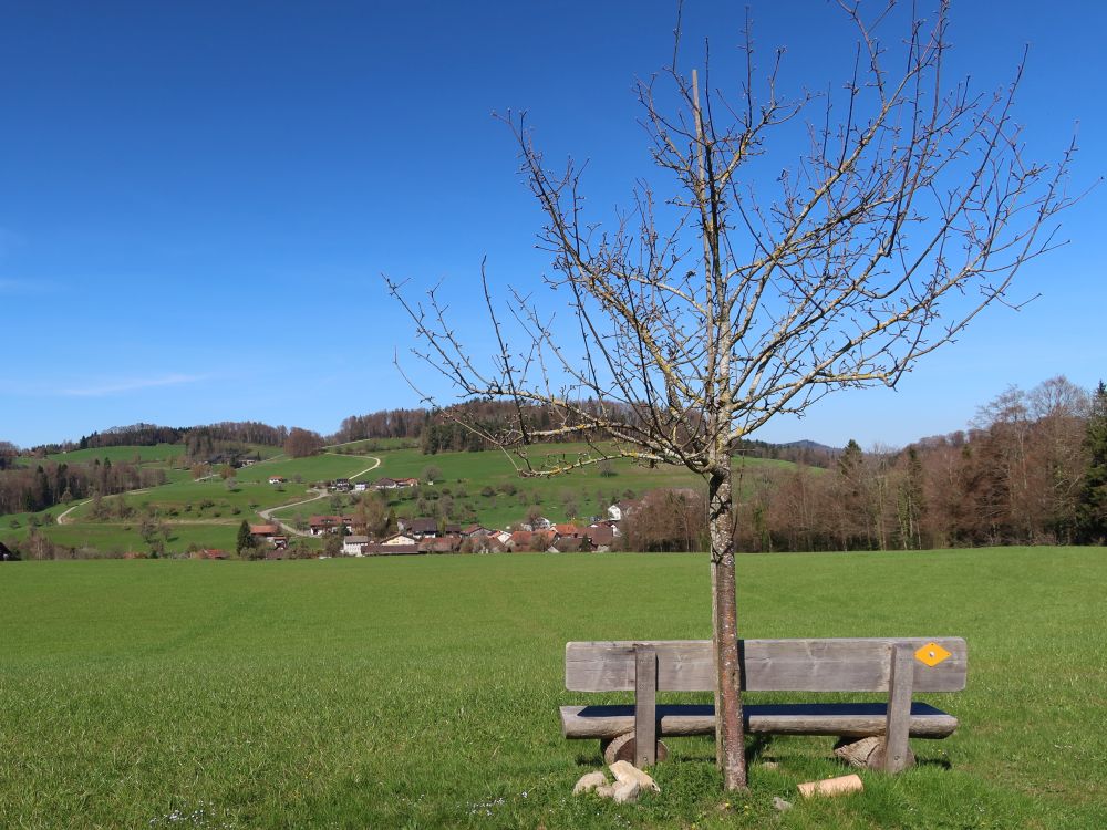 Sitzbank mit Blick zum Hobuck