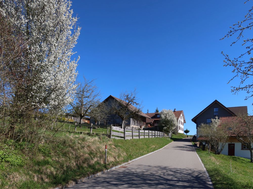 Ravensbüelerstrasse