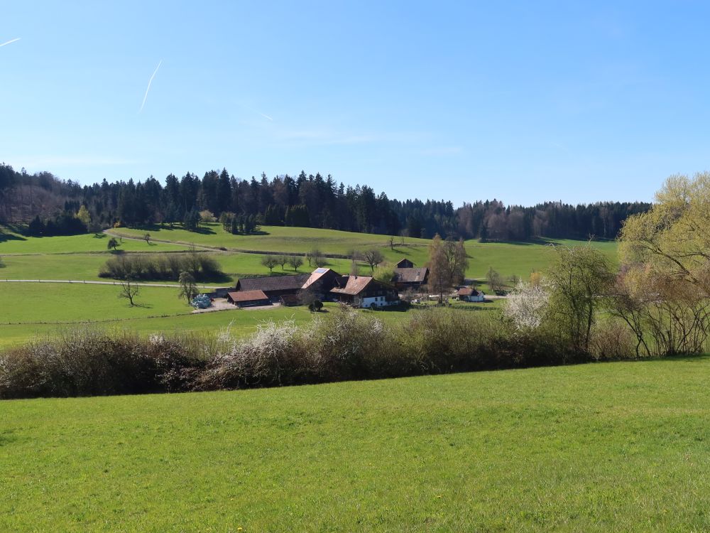 Bauernhof bei Hermatswil