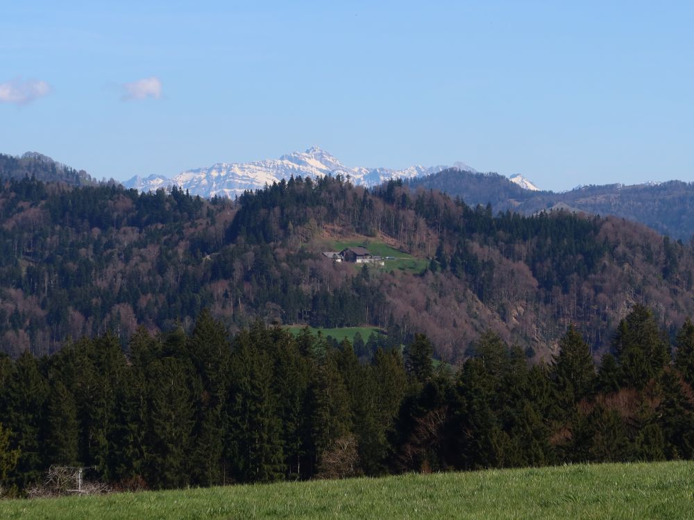 Blick Richtung Säntis