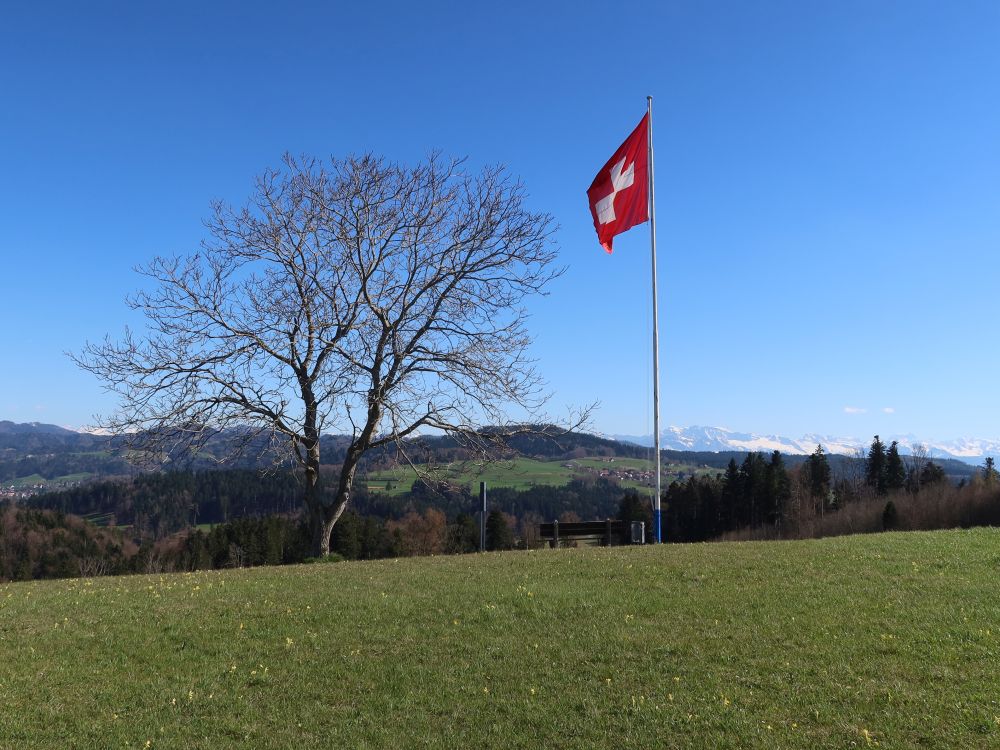 Schweizer Flagge mit Sitzbank