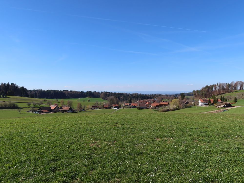 Blick Richtung Hermatswil