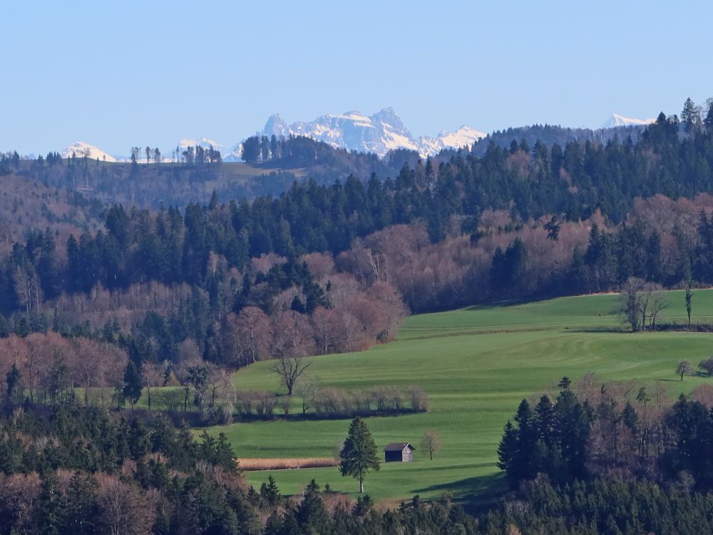 Blick Richtung Mürtschenstock